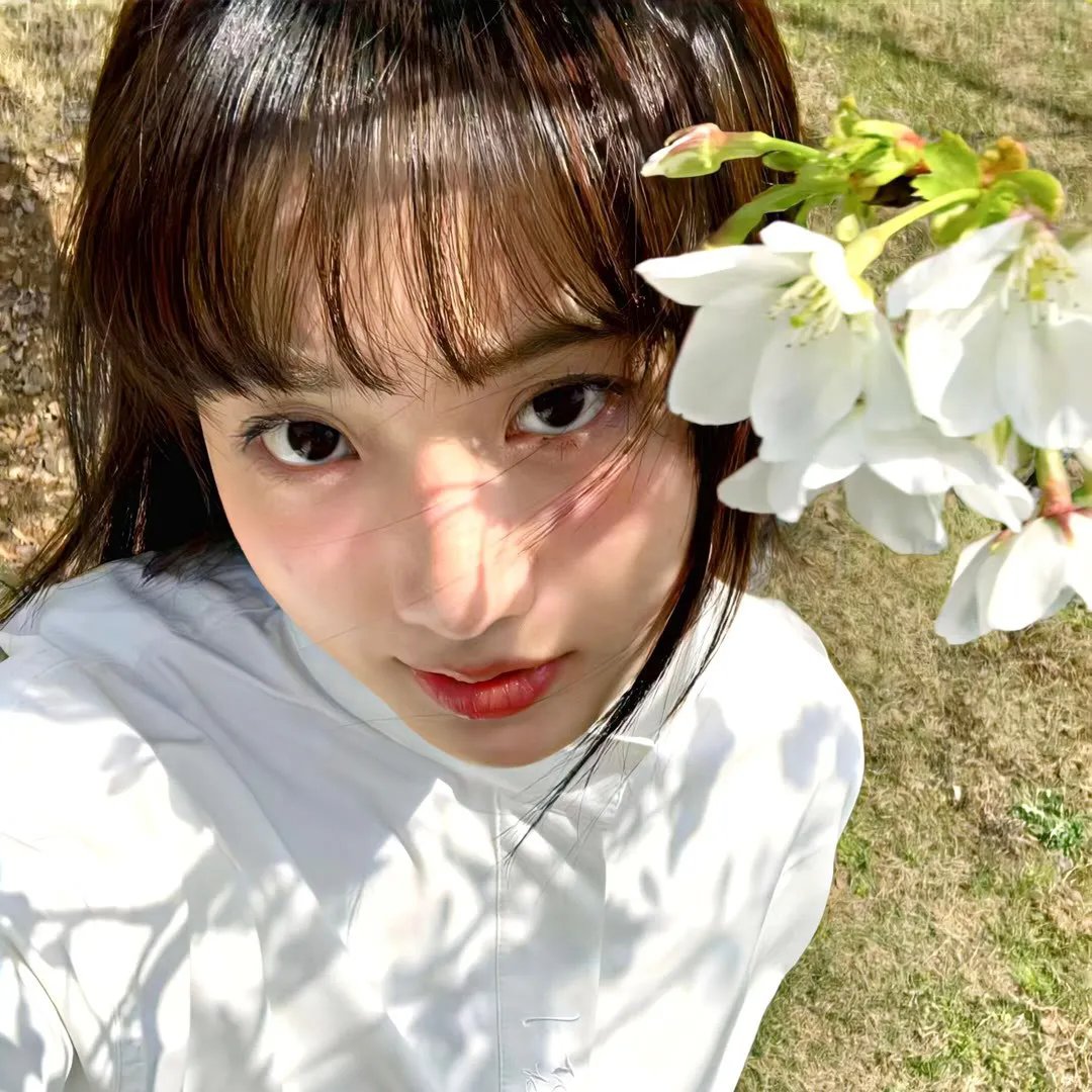 代码未曾负青山